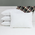 Lot de 2 Oreillers - HAUTE QUALITE - 4,50 HT/piece